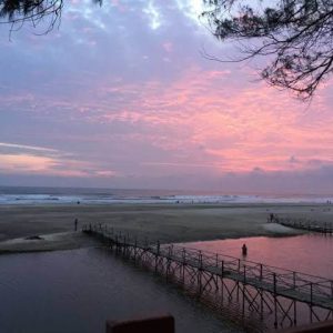 Bridge to the Beach